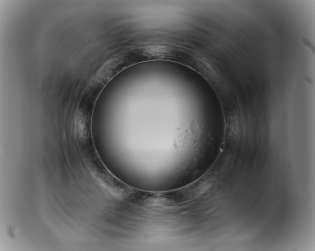 X0000099550408200805161457