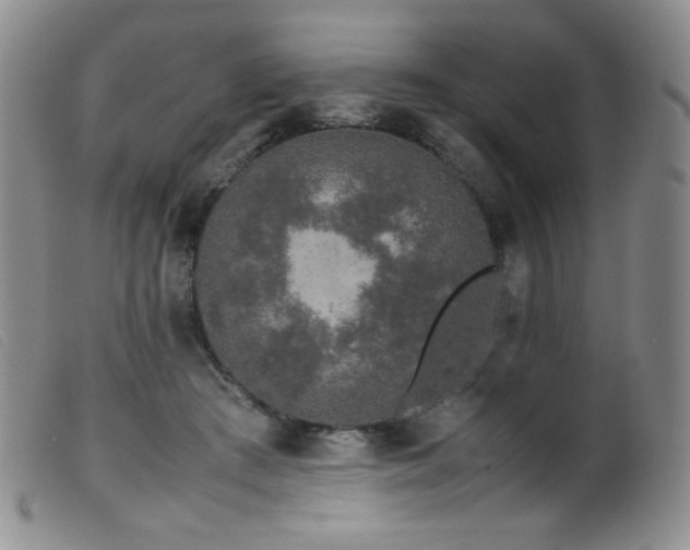 X0000099550409200805161457