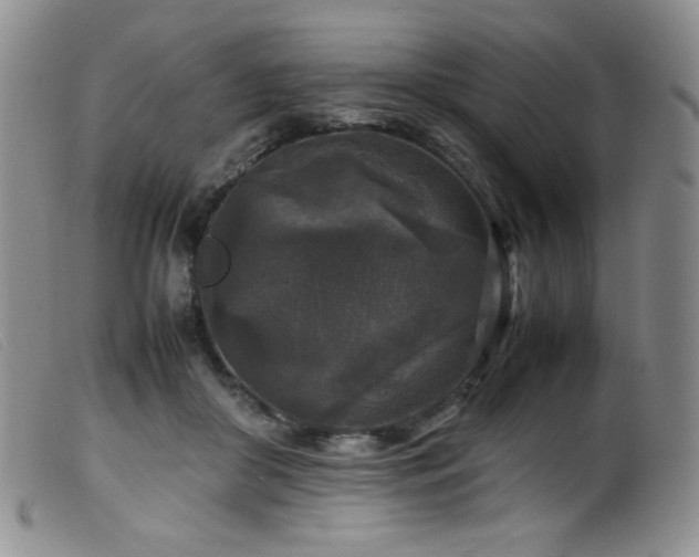 X0000099550410200805161457