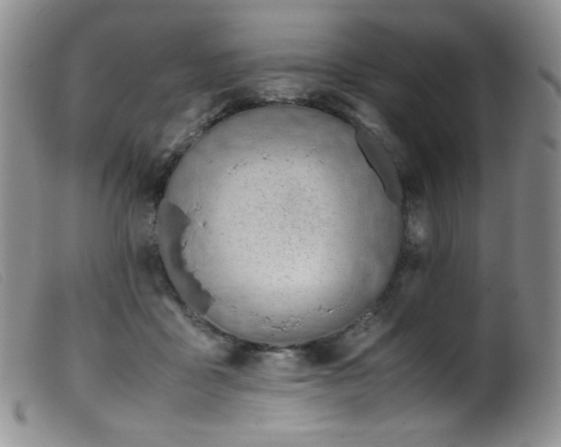 X0000099550411200805161457