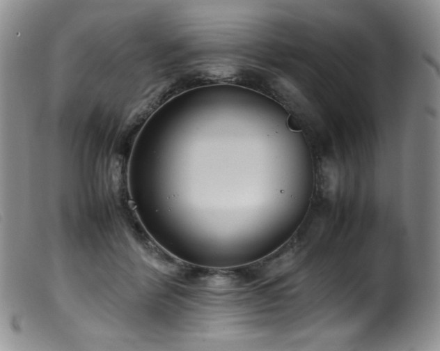 X0000099550412200805161457