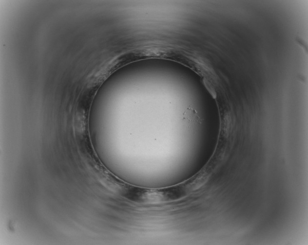 X0000099550413200805161457