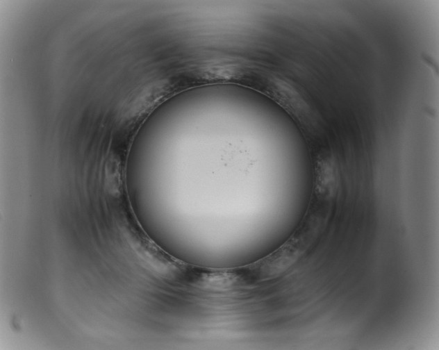 X0000099550414200805161457