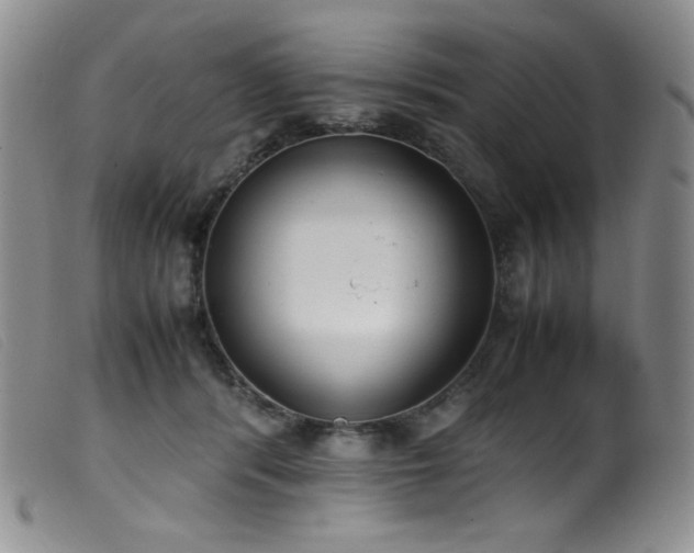 X0000099550416200805161457