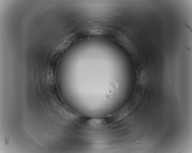 X0000099550418200805161457