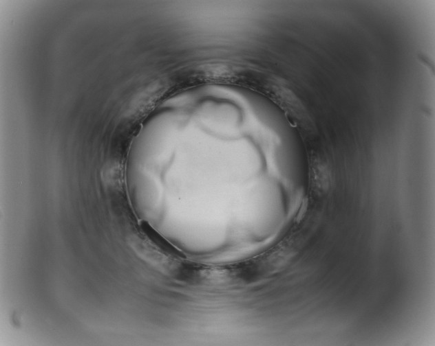 X0000099550419200805161457
