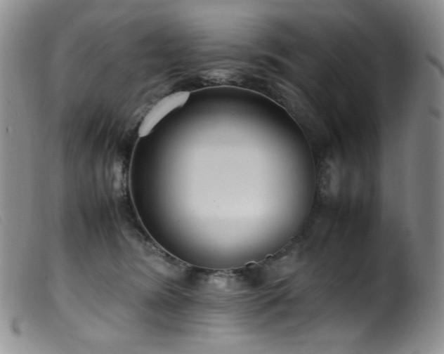 X0000099550420200805161457