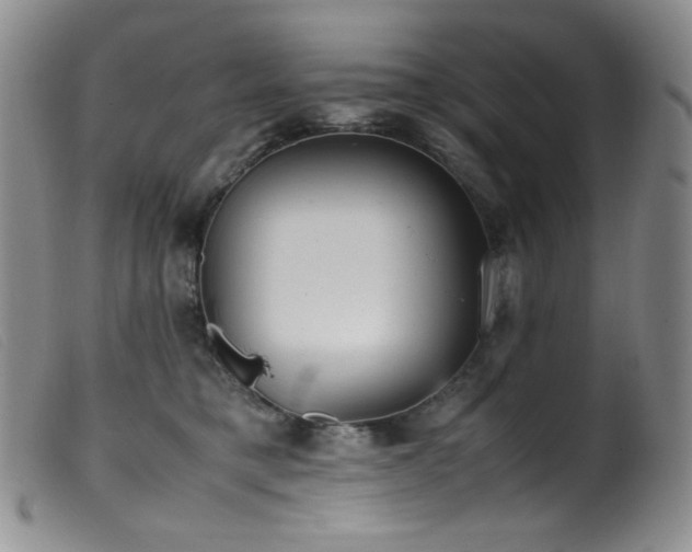X0000099550421200805161457