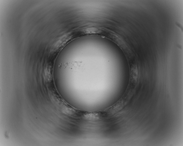X0000099550422200805161457