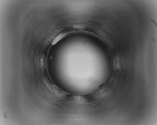 X0000099550424200805161457