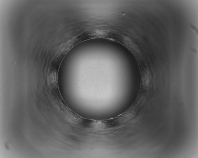 X0000099550425200805161457