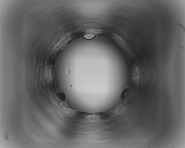 X0000099550426200805161457