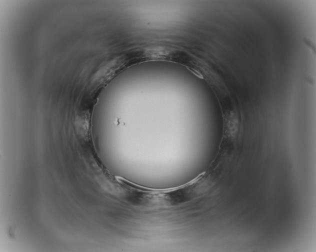 X0000099550427200805161457