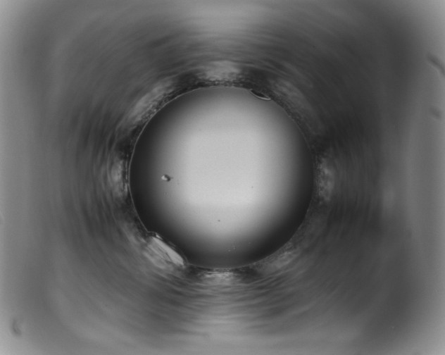 X0000099550428200805161457