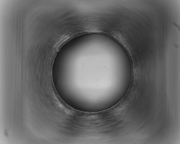 X0000099550433200805161456