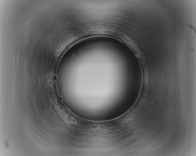 X0000099550434200805161456