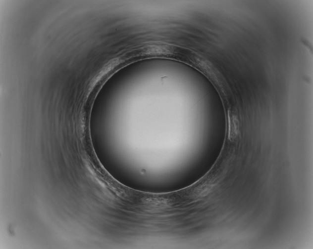 X0000099550435200805161456