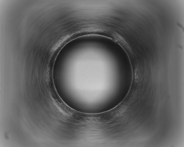 X0000099550436200805161456