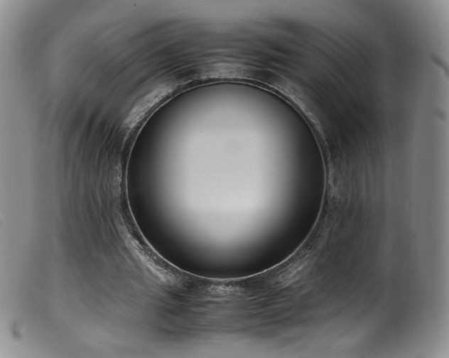 X0000099550437200805161456