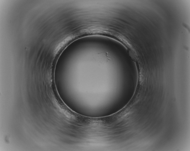 X0000099550438200805161456