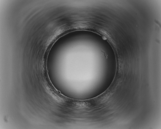 X0000099550439200805161456