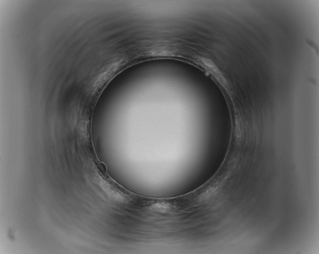 X0000099550441200805161456