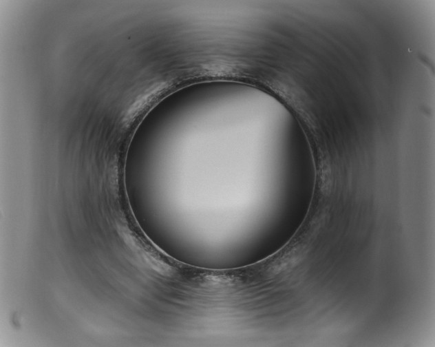 X0000099550442200805161456