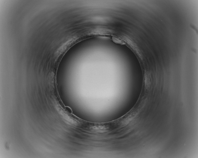 X0000099550445200805161456