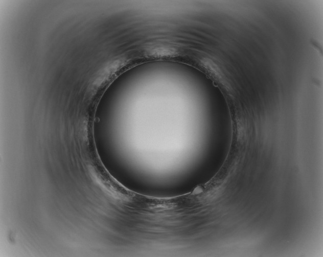 X0000099550447200805161456