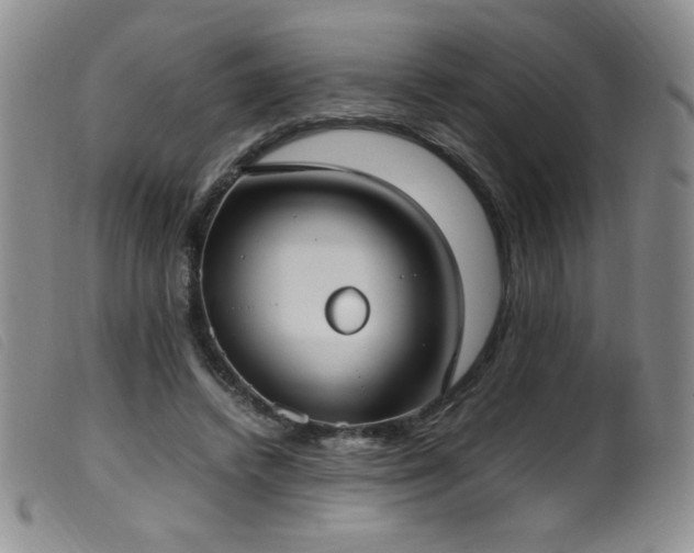 X0000099550448200805161456