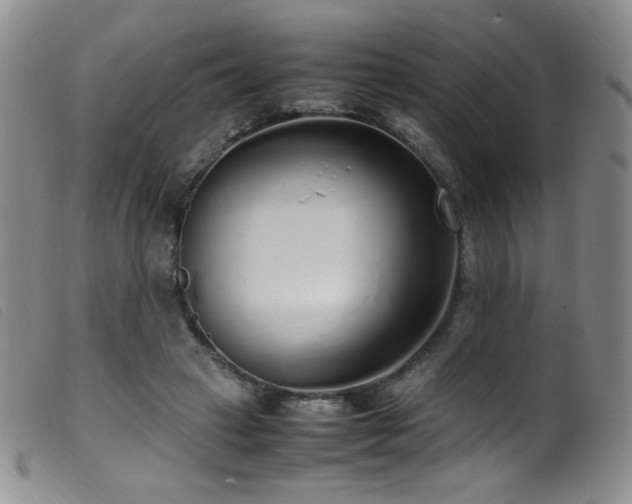 X0000099550449200805161456