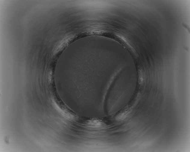 X0000099550451200805161456