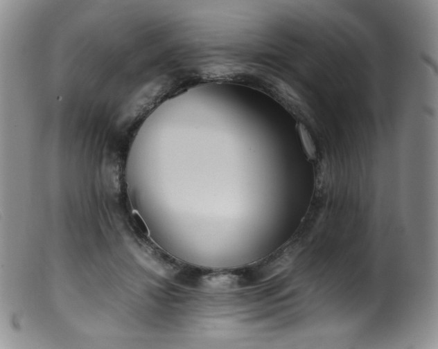 X0000099550452200805161456