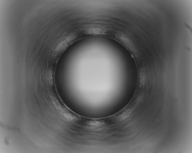 X0000099550453200805161456