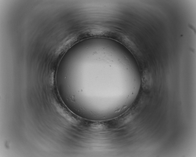X0000099550454200805161456