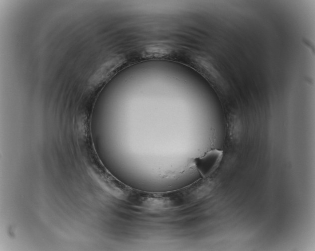 X0000099550455200805161456