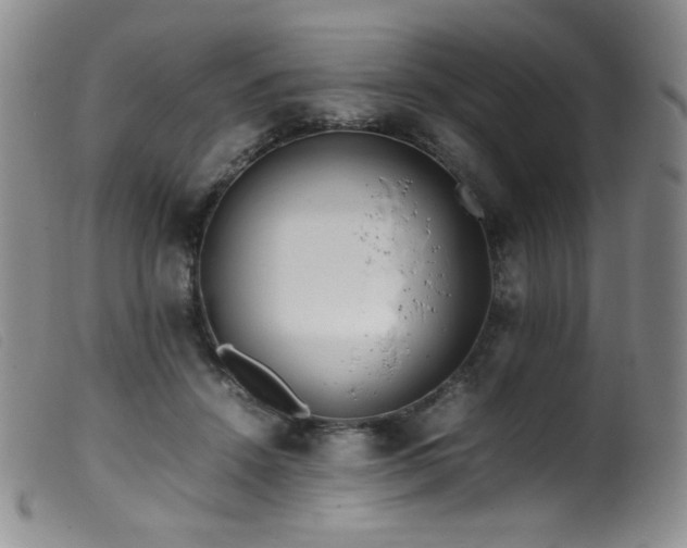 X0000099550456200805161456