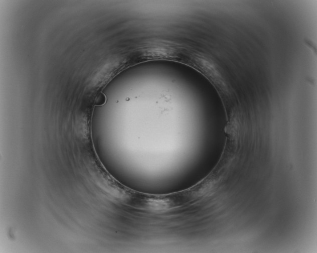 X0000099550457200805161456