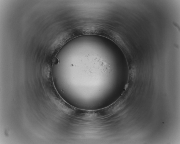 X0000099550458200805161456