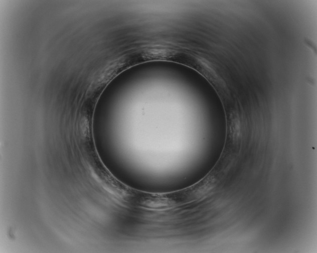 X0000099550459200805161456