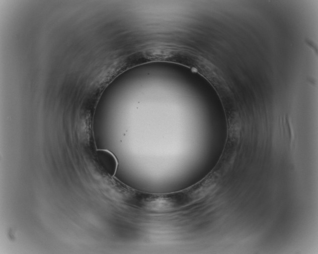 X0000099550460200805161456