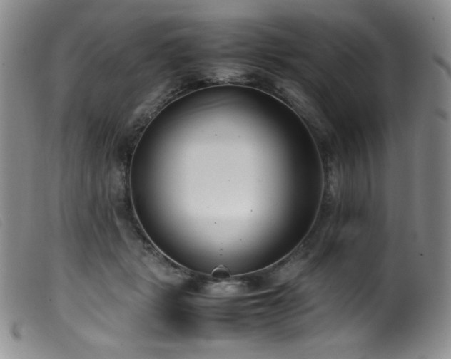 X0000099550461200805161456