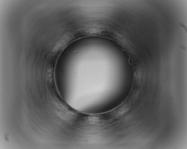 X0000099550462200805161456