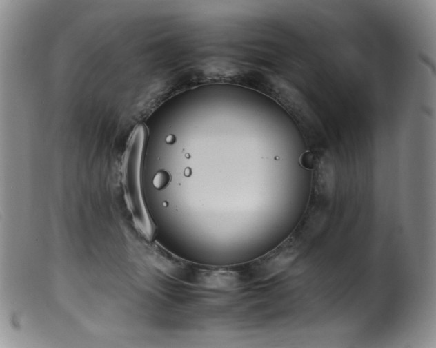 X0000099550463200805161456