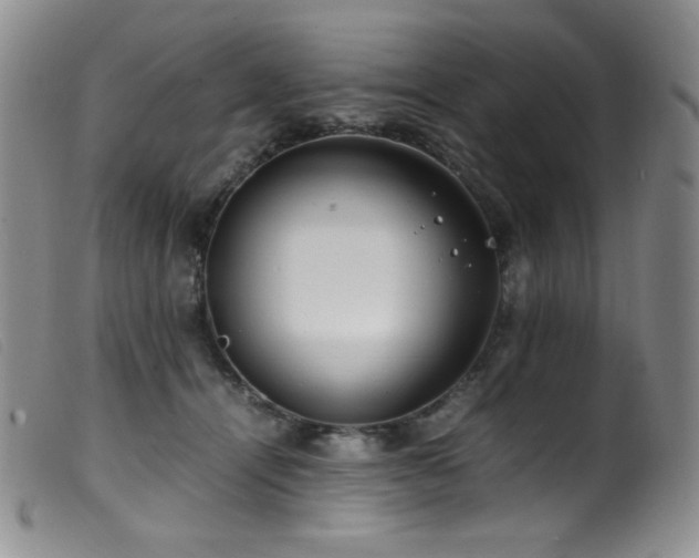 X0000099550464200805161456