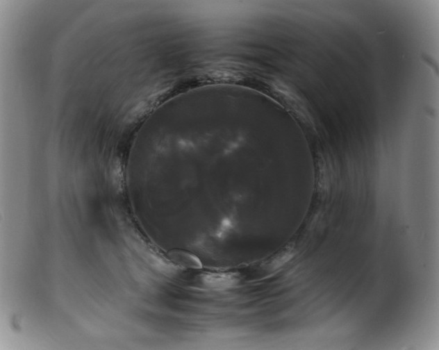 X0000099550465200805161456