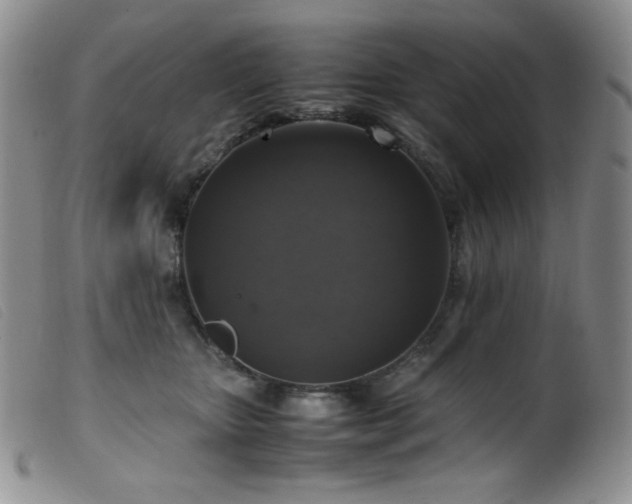 X0000099550467200805161456