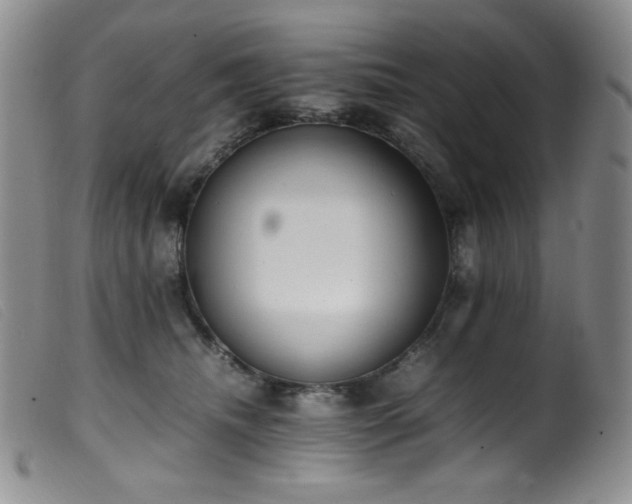 X0000099550468200805161456