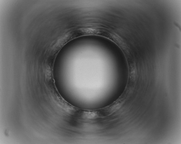 X0000099550469200805161456