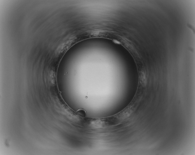 X0000099550470200805161456